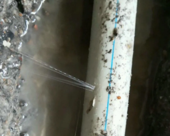 台前卫生间测漏水多少钱