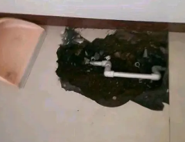 台前卫生间测漏水多少钱